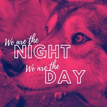 We Are the Night, We Are the Day. Een project van Schrijven, Fictie schrijven y Creatief schrijven van Reneé Bibby - 17.01.2022