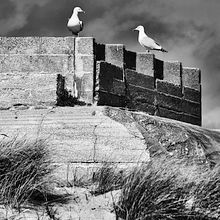 Portfolio Divers. Un projet de Photographie, Événements, Postproduction photographique, Cinéma, Créativité, Photographie de produits, Photographie de mode, Photographie de portrait, Storytelling, Photographie numérique, Photographie artistique, Photographie extérieure, Photographie pour Instagram, Photographie documentaire, Photographie d'architecture , et Écriture de fiction de Gaël Malry - 17.01.2022