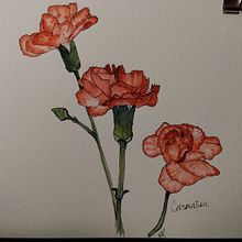 My project in Botanical Sketchbooking: A Meditative Approach course. Un progetto di Illustrazione tradizionale, Bozzetti, Disegno, Pittura ad acquerello, Illustrazione botanica e Sketchbook di jaustengurl - 12.01.2022