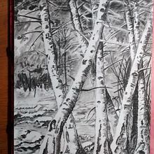 paisaje en lapiz carbon. Traditional illustration, and Fine Arts project by Gianni - 08.09.2016