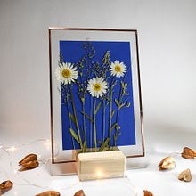 My project in Basic Botanical Pressing Techniques course. Arts, Crafts, Fine Arts, Collage, DIY, Floral, and Plant Design project by bianca.barbieru - 01.18.2022