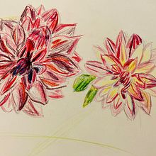 Drawings inspired by nature. Traditional illustration project by sonja_schaule - 01.18.2022