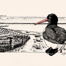 Mein Kursprojekt: Illustration mit Füller und Tinte: Natur zeichnen. Un progetto di Bozzetti, Disegno, Disegno artistico, Sketchbook, Illustrazione con inchiostro e Illustrazione naturalistica di Jens Landefeld - 18.01.2022