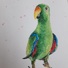 My personal project after Artistic Watercolour for Illustration Birds.  Ein Projekt aus dem Bereich H und werk von karen_smolders84 - 18.01.2022
