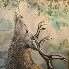 My project in Expressive Animal Portraits in Watercolor course. Traditional illustration, Watercolor Painting, Realistic Drawing, and Naturalistic Illustration project by Cindy Faulkner - 01.18.2022