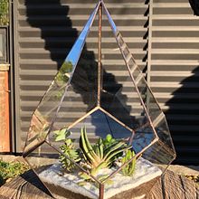 Mi Proyecto del curso: Creación de terrarios con la técnica Tiffany. Un projet de Création d'accessoires, Design d'intérieur, Décoration, DIY , et Art floral et végétal de María Florencia Herrera - 18.01.2022