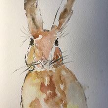 My project in Illustrating Nature: A Creative Exploration course. Projekt z dziedziny Trad, c, jna ilustracja,  Malarstwo,  R, sunek,  R, sunek atramentem, Ilustracja naturalist, czna i Malowanie akwarelą użytkownika Martha - 18.01.2022