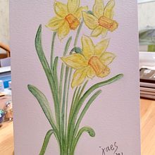Daffodils. Traditional illustration, Fine Arts, Naturalistic Illustration, and Watercolor Painting project by Judy - 01.17.2022