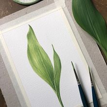 mughetto Ein Projekt aus dem Bereich Traditionelle Illustration, Skizzenentwurf, Zeichnung und Realistische Zeichnung von Nadia Leo - 19.01.2022