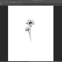 Mi Proyecto del curso: Técnicas de color para tatuajes. Traditional illustration, Drawing, Digital Illustration, Tattoo Design, and Digital Drawing project by pcraviotto - 01.23.2022