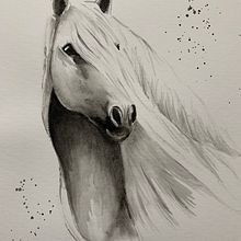 Mi proyecto del caballo blanco y negro. Jacqueline . Un proyecto de Ilustración tradicional, Pintura a la acuarela, Dibujo realista e Ilustración naturalista				 de invermajaca - 16.01.2022