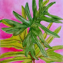 Mon projet du cours : Illustration botanique à l’aquarelle. Un progetto di Illustrazione tradizionale, Belle arti, Pittura, Disegno, Pittura ad acquerello e Illustrazione botanica di sovignola - 20.01.2022