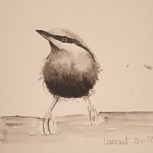 Il mio progetto del corso: Acquerello artistico per illustrazione di animali: gli uccelli. Traditional illustration, Realistic Drawing, and Naturalistic Illustration project by Laura Torelli - 01.20.2022