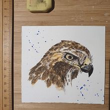 Small watercolour projects. Un progetto di Pittura ad acquerello, Illustrazione naturalistica, Illustrazione tradizionale, Bozzetti e Disegno realistico di Henriëtte Doornwaard - 21.01.2022