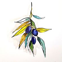 Mi Proyecto del curso: Sketchbook botánico: una aproximación meditativa Ein Projekt aus dem Bereich Traditionelle Illustration, Skizzenentwurf, Zeichnung, Aquarellmalerei, Botanische Illustration und Sketchbook von Amparo Muñoz - 21.01.2022