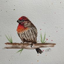 My project in Artistic Watercolor Techniques for Illustrating Birds course. Watercolor Painting, Traditional illustration, Realistic Drawing, and Naturalistic Illustration project by Mika Pratt - 01.15.2022
