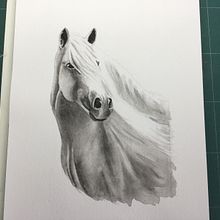 Monochromatic study of a horse. Pintura em aquarela projeto de Sheila Smart - 21.01.2022