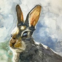 Pamela Schwartz - Expressive Animal Portrait course - Cottontail Rabbit. Projekt z dziedziny Trad, c, jna ilustracja, Malowanie akwarelą, R, sunek realist, czn, Ilustracja naturalist i czna użytkownika Pamela Schwartz - 21.01.2022