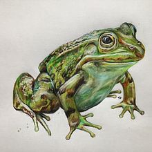 Tiere. Traditional illustration, and Fine Arts project by Carina Streng - 01.21.2022