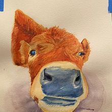 My final project (My calf Blossom). Ilustração tradicional, Pintura em aquarela, Desenho realista e Ilustração naturalista projeto de Buffy Weiss - 22.01.2022