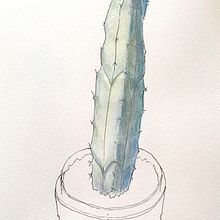 Drawing with Awareness. Traditional illustration, Sketching, Drawing, Watercolor Painting, Botanical Illustration, and Sketchbook project by giovanni.caffio - 01.22.2022