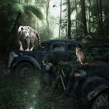 Photorealistic photomontage. Un progetto di Fotografia, Postproduzione fotografica, VFX, Ritocco fotografico, Fotografia artistica, Composizione fotografica e Fotomontaggio di Sabina Czypionka - 22.01.2022