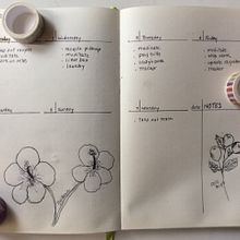 My project in Introduction to Illustrated Bullet Journaling course. Un projet de Illustration traditionnelle, Artisanat, Lettering, Dessin, Illustration botanique, DIY , et Lettering manuel de ahblair49 - 22.01.2022