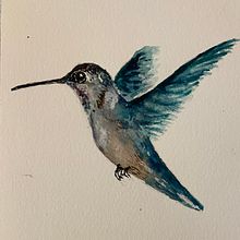 Hummingbird . Un proyecto de Ilustración tradicional, Pintura a la acuarela e Ilustración naturalista				 de Kirsten Steward - 22.01.2022