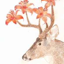Il mio progetto del corso: Illustrazione surrealista ispirata alla natura. Traditional illustration, Drawing, Artistic Drawing, Naturalistic Illustration, and Colored Pencil Drawing project by Francesco Rizzi - 01.23.2022