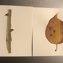 Espinas y otoño. Watercolor Painting project by Sandra Cabrera Patiño - 01.23.2022