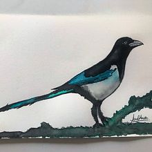 Urraca. Watercolor Painting project by Sandra Cabrera Patiño - 01.23.2022