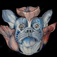 Mein Kursprojekt: Kreatives Porträt in Chiaroscuro mit Bleistift. Traditional illustration, Portrait Drawing, Artistic Drawing, Colored Pencil Drawing, and Pencil Drawing project by Tina - 01.23.2022