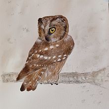 Mein Kursprojekt: Experimentelle Aquarelltechniken für Anfänger. Traditional illustration, Fine Arts, Watercolor Painting, and Naturalistic Illustration project by Carmen Bezençon - 01.24.2022