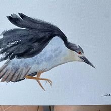 My project in Naturalist Watercolor with Expression and Personality course. Un progetto di Illustrazione tradizionale, Pittura ad acquerello e Illustrazione naturalistica di Crystal C - 24.01.2022