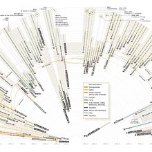 Alphabets in history, and who deciphered them. Un progetto di Design dell’informazione, Illustrazione editoriale e Design digitale di Marco Giannini - 20.12.2020