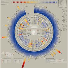 The Cost of Living in America. Un progetto di Design dell’informazione e Infografica di Marco Giannini - 14.09.2016