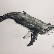 Mi Proyecto del curso: Técnicas de ilustración naturalista: ballenas en acuarela. Een project van Traditionele illustratie, Posterontwerp, Digitale illustratie y Manga van Rebecca Angelina Fernández - 24.01.2022