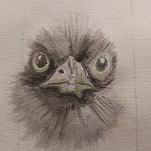 Mijn project van de cursus: Vogels illustreren met artistieke aquarel. Traditional illustration, Watercolor Painting, Realistic Drawing, and Naturalistic Illustration project by Henriette Kamp - 01.24.2022