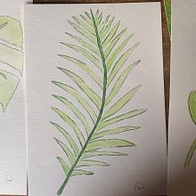 Mi Proyecto del curso: Acuarela botánica para estampados. Un projet de Illustration traditionnelle, Création de motifs, Aquarelle et Illustration botanique de Milagros Mac Donnell - 25.01.2022