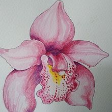 Mi Proyecto del curso: Sketchbook botánico: una aproximación meditativa. Traditional illustration, Sketching, Drawing, Watercolor Painting, Botanical Illustration, and Sketchbook project by Yahann Romero - 01.25.2022