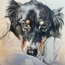 My project in Expressive Animal Portraits in Watercolor course: `Feeling watched´, watercolour 34 x 30 cm. Projekt z dziedziny Trad, c, jna ilustracja, Malowanie akwarelą, R, sunek realist, czn, Ilustracja naturalist i czna użytkownika zoe_36 - 25.01.2022