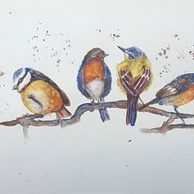 My project in Artistic Watercolor Techniques for Illustrating Birds course. Un projet de Illustration traditionnelle, Aquarelle, Dessin réaliste et Illustration naturaliste de Karien van Wyk - 25.01.2022