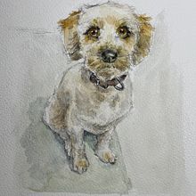 My dog Phoebe. Un progetto di Illustrazione tradizionale, Pittura ad acquerello, Disegno realistico e Illustrazione naturalistica di manjawil - 25.01.2022