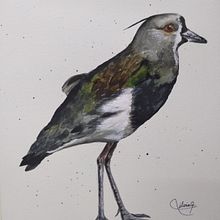 Mi Proyecto del curso: Acuarela naturalista con expresión y personalidad. Ilustração tradicional, Pintura em aquarela e Ilustração naturalista projeto de Silvia Liliana Garavagno - 25.01.2022