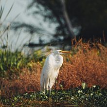 Mi Proyecto del curso: Fotografía de paisaje y naturaleza. Projekt z dziedziny Fotografia,  Fotografia plenerowa, Fotografia na Instagram, Fotografia dokumentalna,  Kompoz i cja w fotografii użytkownika Fernando Richaud - 25.01.2022