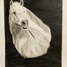 My project in Expressive Animal Portraits in Watercolor course. Ilustração tradicional, Pintura em aquarela, Desenho realista e Ilustração naturalista projeto de Ann Lyon - 25.01.2022