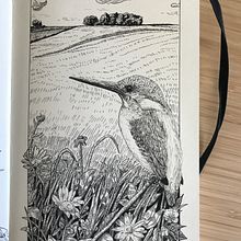 My project in Dip Pen and Ink Illustration: Capturing The Natural World course . Membuat sketsa, Menggambar, Menggambar Artistik, Buku sketsa, Ilustrasi Tinta & Ilustrasi Naturalistik proyek oleh Lin - 01.26.2022