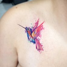 Aves . Een project van Traditionele illustratie van Leidy Vargas - 26.01.2022