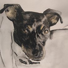 My project in Experimental Watercolor Techniques for Beginners course. Un proyecto de Ilustración tradicional, Bellas Artes, Pintura a la acuarela e Ilustración naturalista				 de anne_babington - 26.01.2022