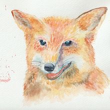 Expressive Animal Portraits in Watercolor course project: the fox. Projekt z dziedziny Trad, c, jna ilustracja, Malowanie akwarelą, R, sunek realist, czn, Ilustracja naturalist i czna użytkownika Anna Guseva - 25.01.2022